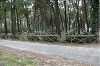 Galeria Quiaios